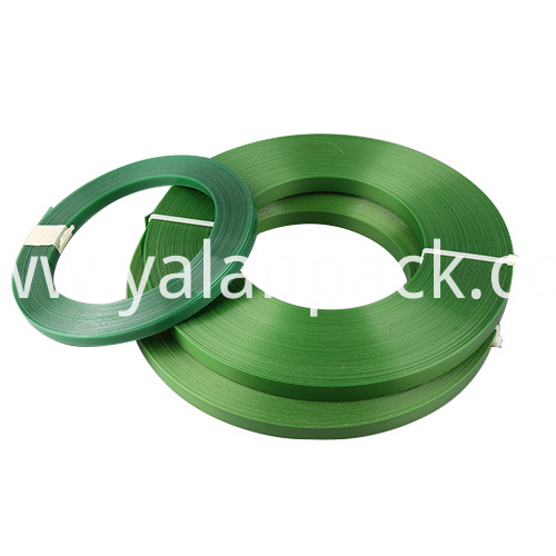 pet strap band pet strap band